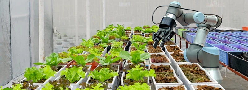  A robot Planting the Plant