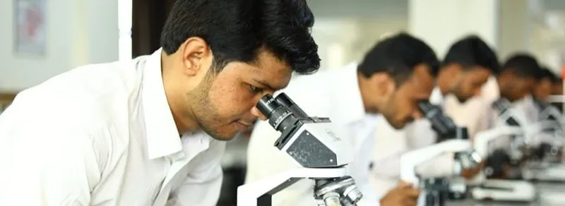 Students Study In Library