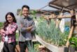 What is urban farming