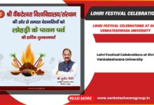Lohri Festival Celebrations