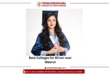 Best Colleges for BCom near Meerut