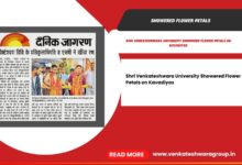 Showered Flower Petals