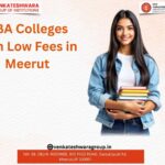 Broke but Ambitious? Here’s the Ultimate Hack for BBA Colleges with Low Fees in Meerut